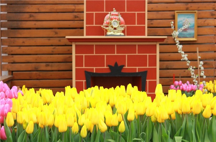 Тюльпановый Рай, продолжение. Выставка тюльпанов в Твери. Mini Layla elf Sunkissed skin от Kaye Wiggs