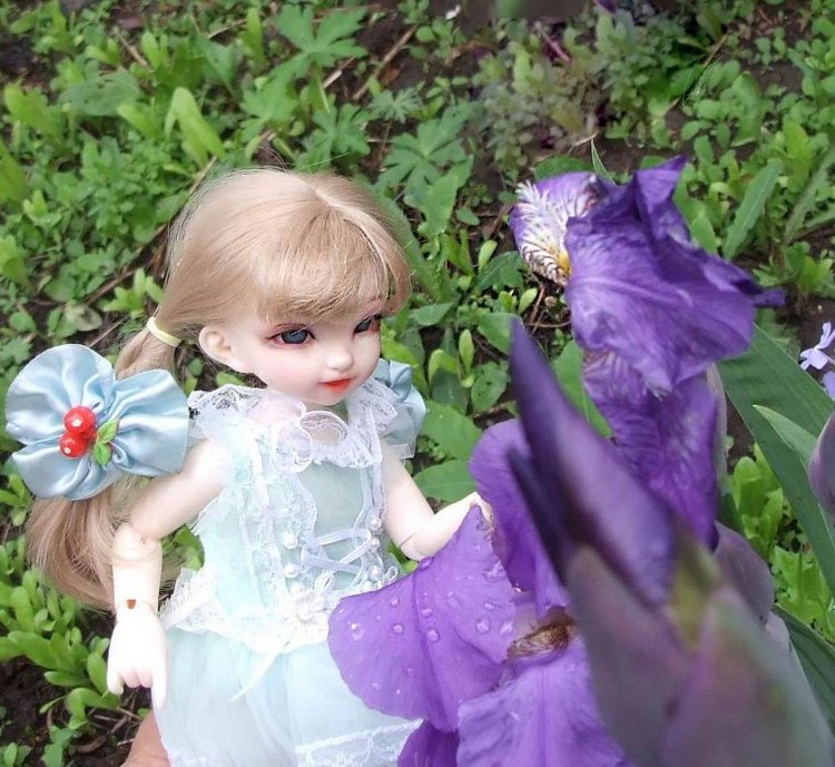 После дождичка в саду) — Красивая природа и цветы: фото пейзажей (фото 4)