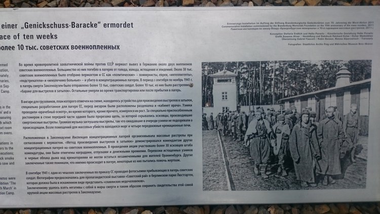 Спасибо Вам за смелость и отвагу, за небо мирное над головой