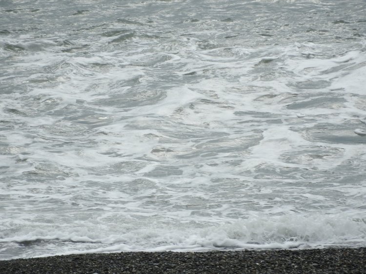 Сочи-Адлер: Южное Взморье - Красоты Черного Моря