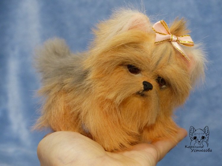 Щенок Йоркширского терьера (фото 9)