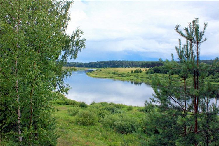 Бенни. Презентация участницы на Конкурс Кукольной Красоты Мисс Бэйбики 2019 (фото 6)