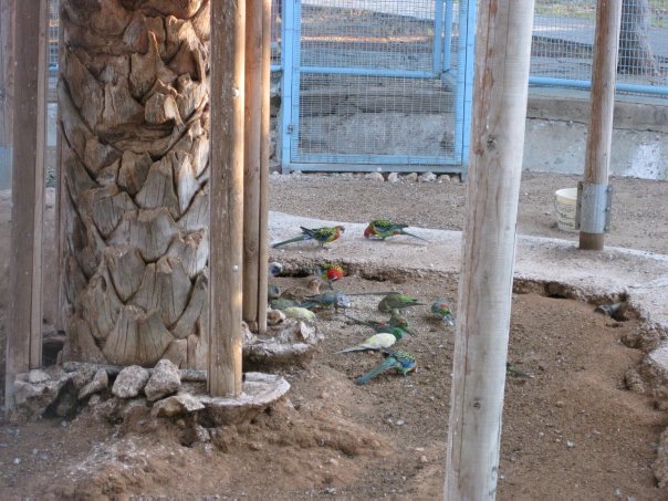 Путешествие на о. Кипр — Туризм и путешествия: фотоотчеты из поездок