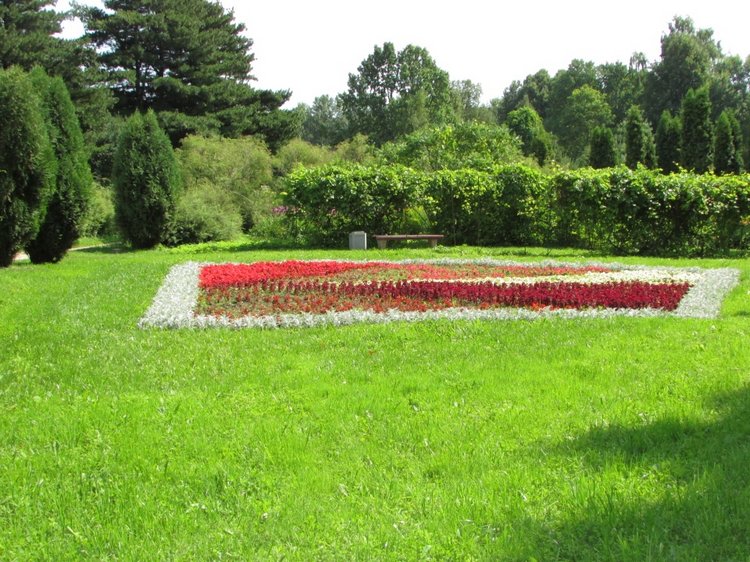 Малышня на прогулке в Бирюлёвском дендропарке