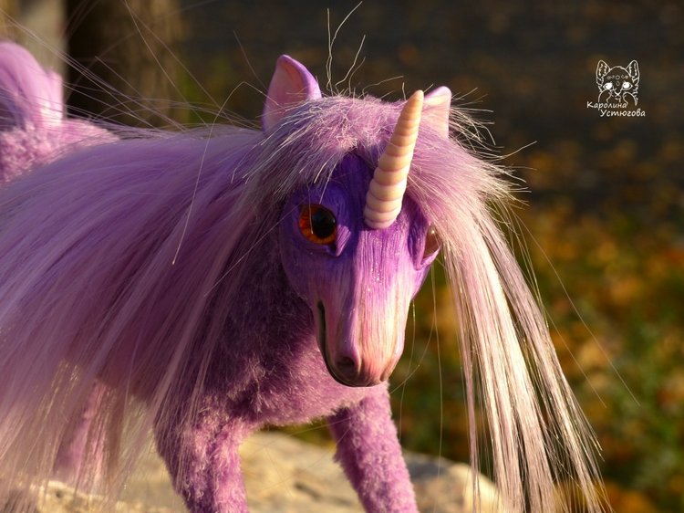 Единорог-страна мечты. Осеняя прогулка