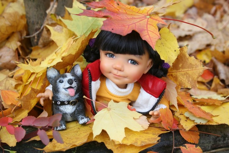 Осень и Бейли — Куклы Meadow dolls (Медовушки): BJD (БЖД) (фото 4)