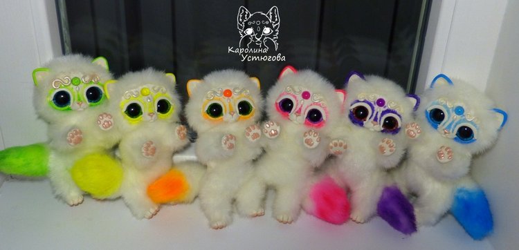 Королевские волшебные коты, породы: Мирис. В кадре и за кадром. Процесс (фото 8)