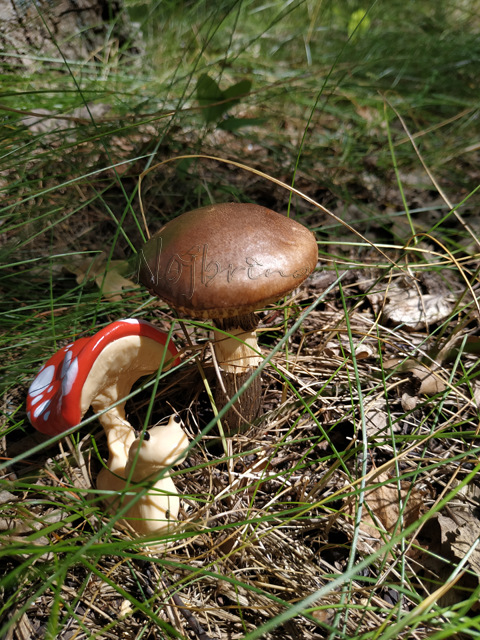 Wonderfrog. Красота в простоте. Часть 2