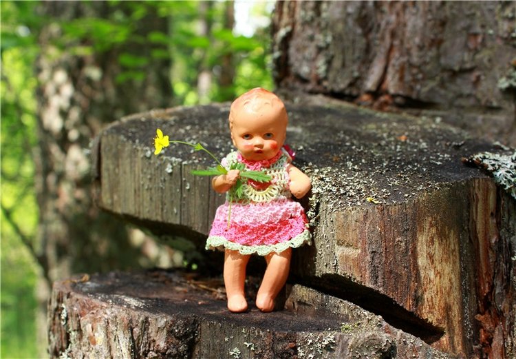 Путешествие Эли на красивый берег реки Волги (фото 3)