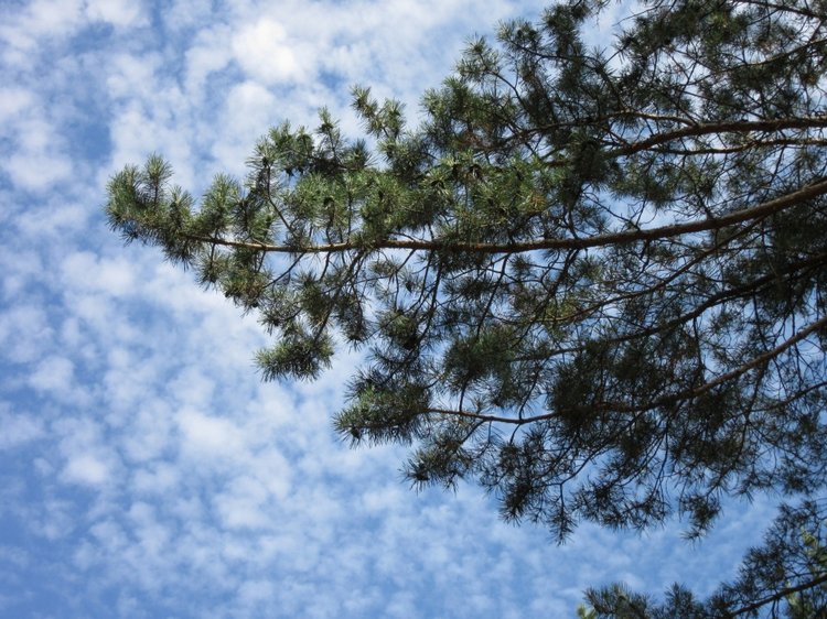 Горячее солнышко Кисловодска