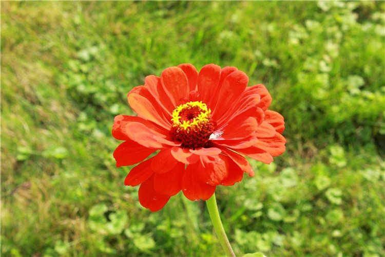 Сентябрьское путешествие в Старицу. Старицкий Свято-Успенский Монастырь