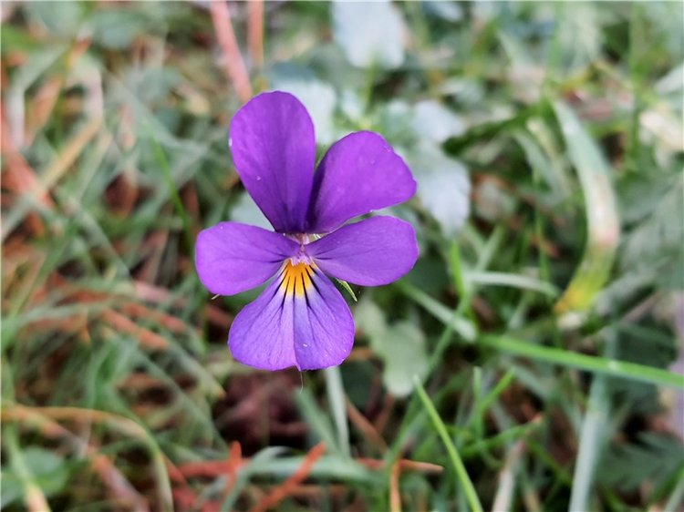 Путешествие по Святым местам Тверской области