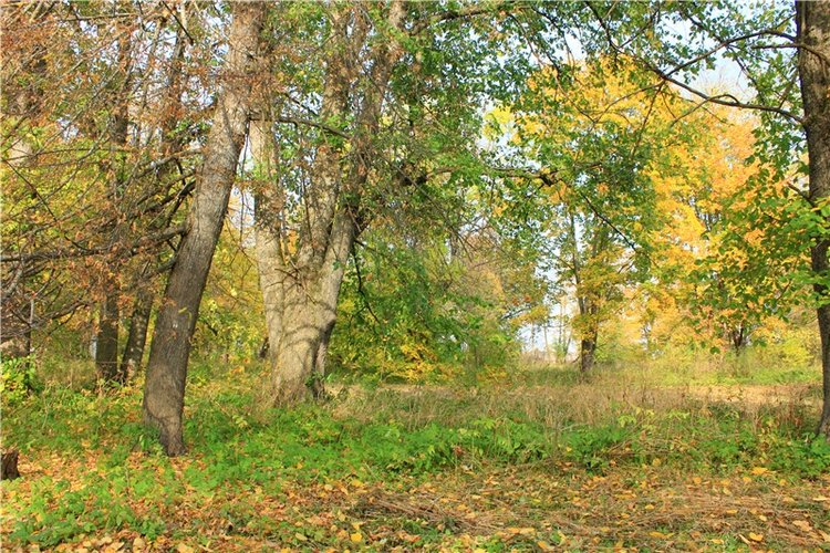 Путешествие Dal Hangry в Грузины, продолжение