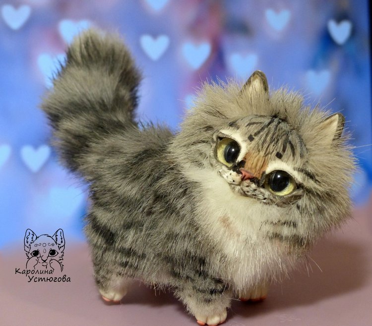 Котята Сибирской породы Табби и Мраморный биколор