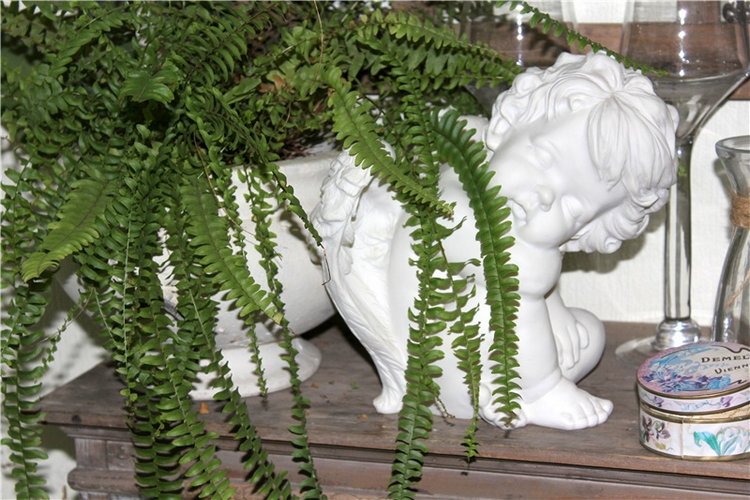 Тверской Ботанический Сад, продолжение | Бэйбики Тверской Ботанический Сад, продолжение