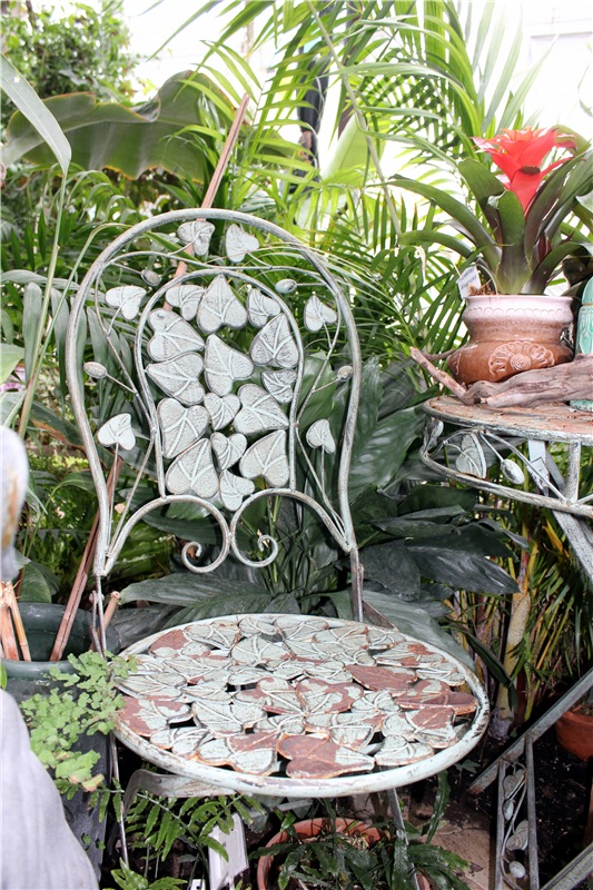 Тверской Ботанический Сад, продолжение | Бэйбики Тверской Ботанический Сад, продолжение