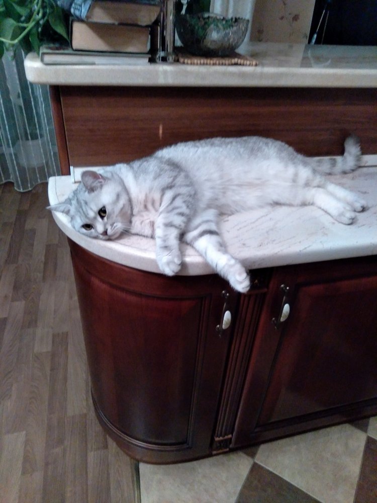 Гостей с такими подарками надо гнать поганой метлой! Или не надо