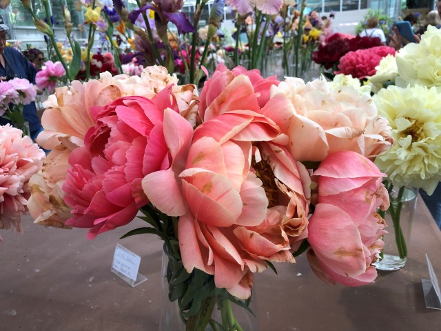 Тони Старк: приключения без брони. И снова Аптекарский огород | Бэйбики Тони Старк: приключения без брони. И снова Аптекарский огород