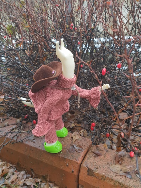 Лягушка Ванда и все-все-все