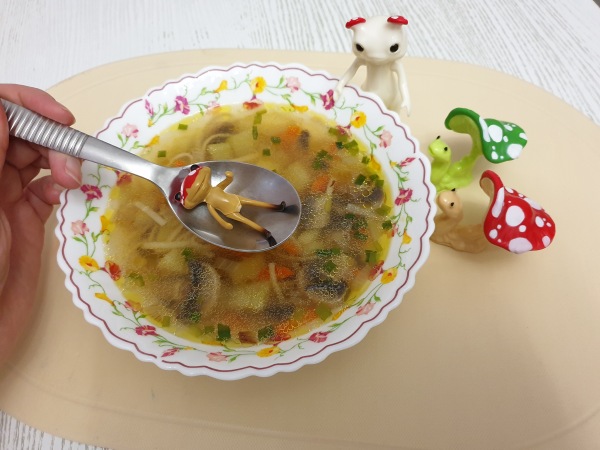 Лягушка Ванда и все-все-все