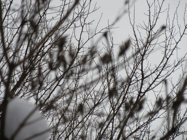 Король зимы — Разные шарнирные куклы (не БЖД): редкие