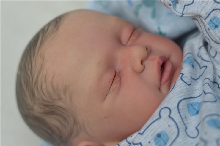 Малыши реборн, молд Yannies от Gudrun Legler (фото 5)