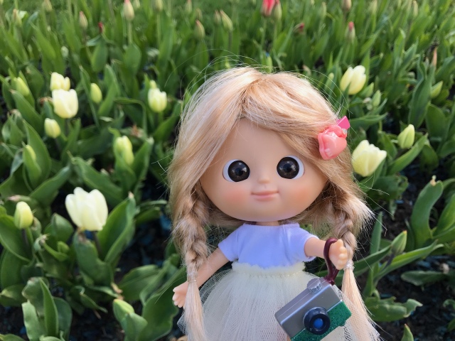 Как мы фотографировали улитку с Mui-chan (фото 6)