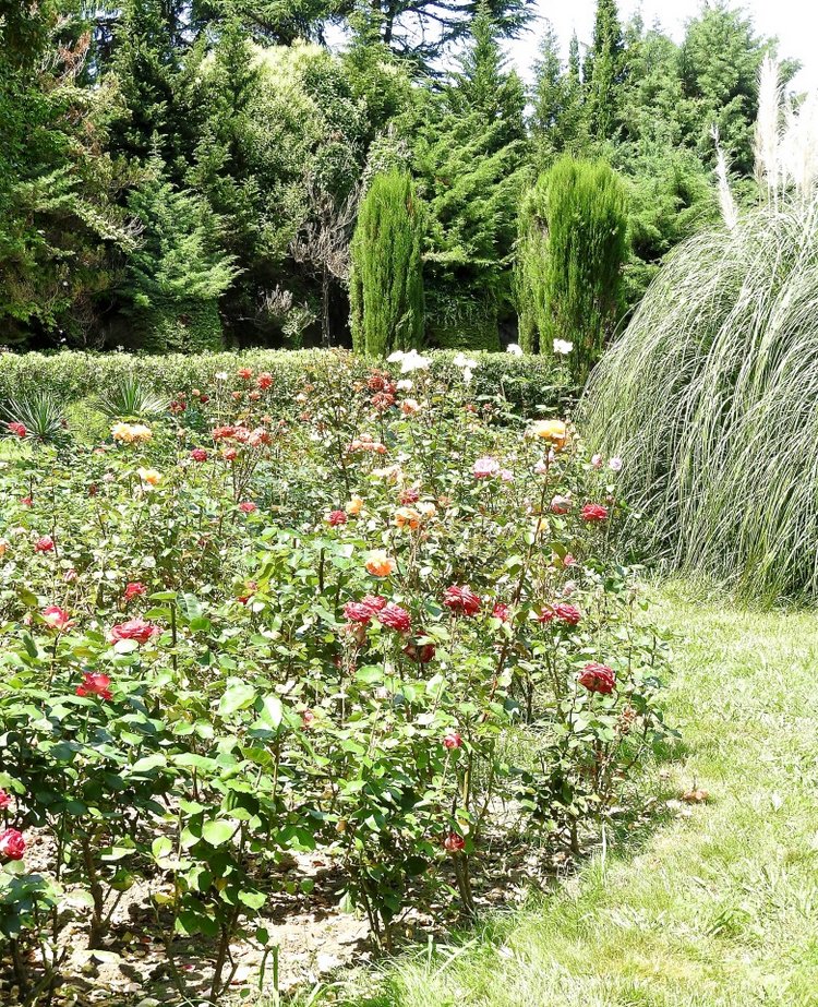 Краснодарский Край, Сочи-Адлер, Санаторий «Южное Взморье»