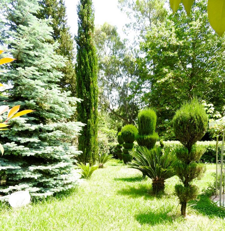 Краснодарский Край, Сочи-Адлер, Санаторий «Южное Взморье»