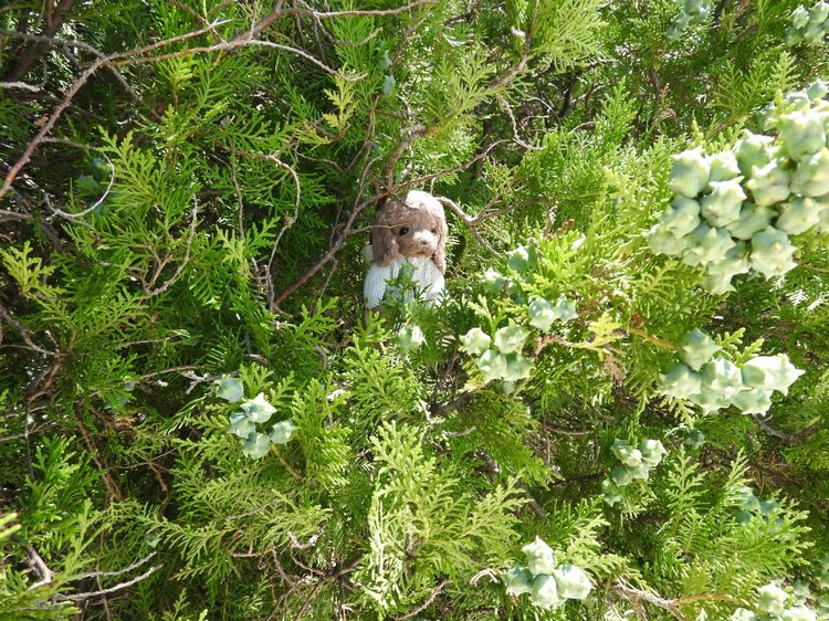 Краснодарский Край, Сочи-Адлер, Санаторий «Южное Взморье»