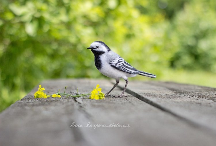 Белая трясогузка — Валяные игрушки из шерсти: сухое валяние (фото 2)