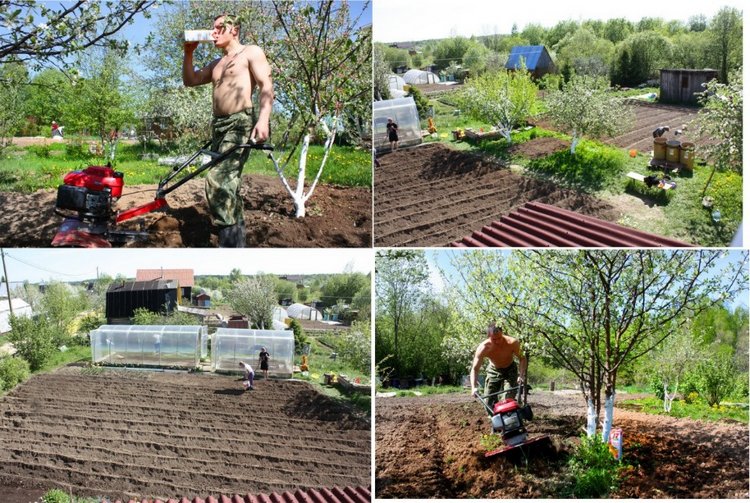 Сельская Санта-Барбара (Кирпич)