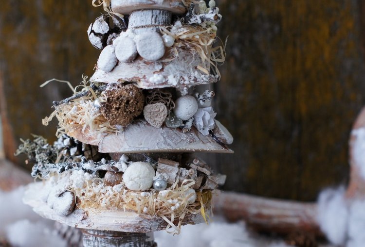 Елочка — Другие хобби и увлечения: сад (фото 9)