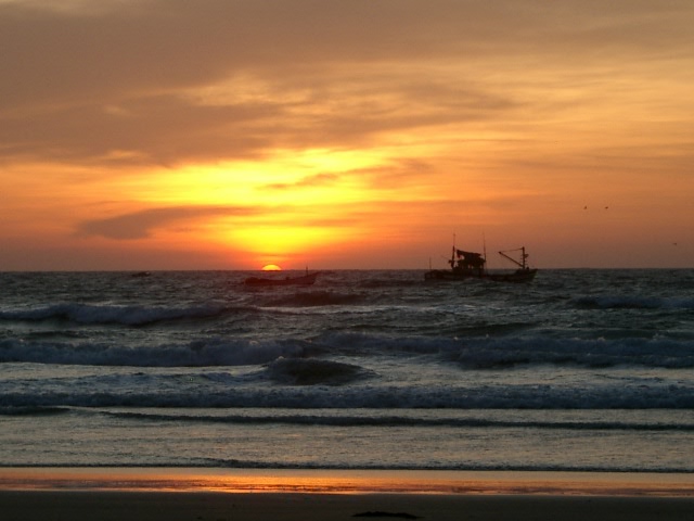 Сказочная Индия — Туризм и путешествия: фотоотчеты из поездок