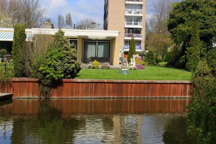 Цветущая Сакура. Прогулка по парку с Алисой. Весенние зарисовки