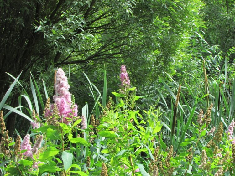 Моя кукольная семья на прогулке в Измайловском Парке
