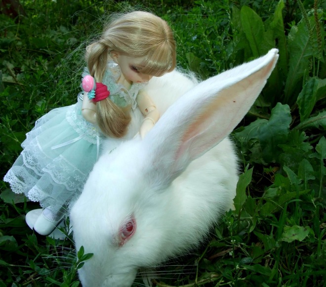 Кролики превращаются... превращаются... А котик улыбается)