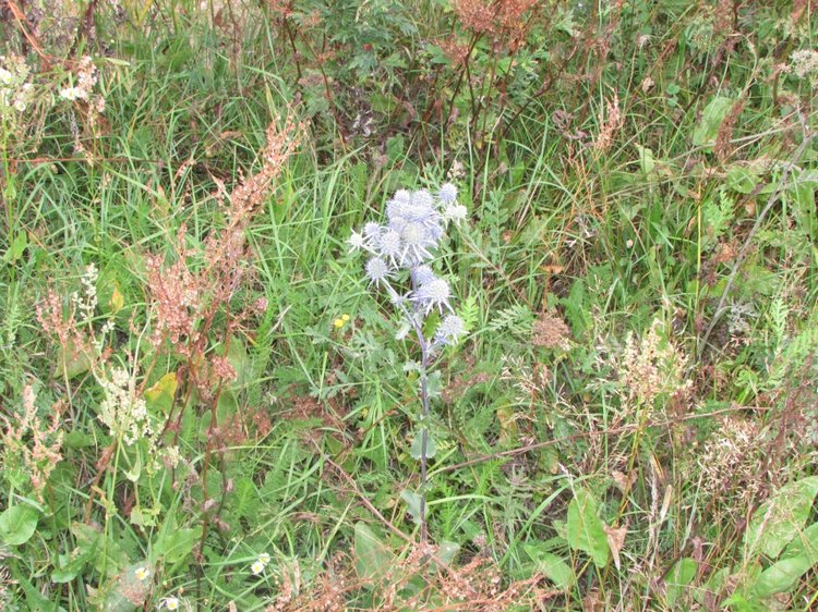 Путешествие в Нижегородскую область - часть 2 - Размещение в деревушке и прогулка по окресностям