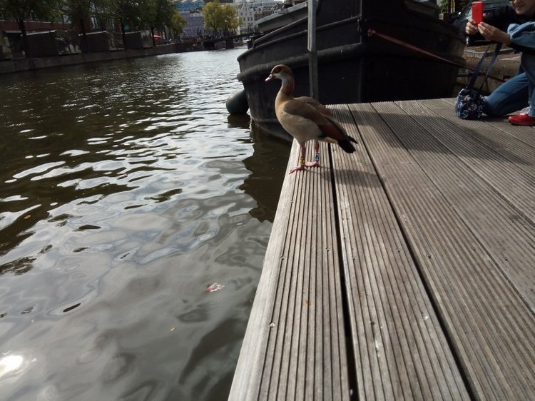 Тур по Европе или долгожданный подарок самой себе. Часть 5