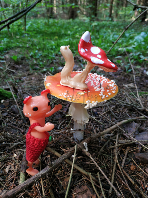 Wonderfrog. Красота в простоте. Часть 2