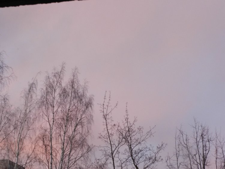 Фотосессия девочек от Heidi Plusczok. Старшенькие