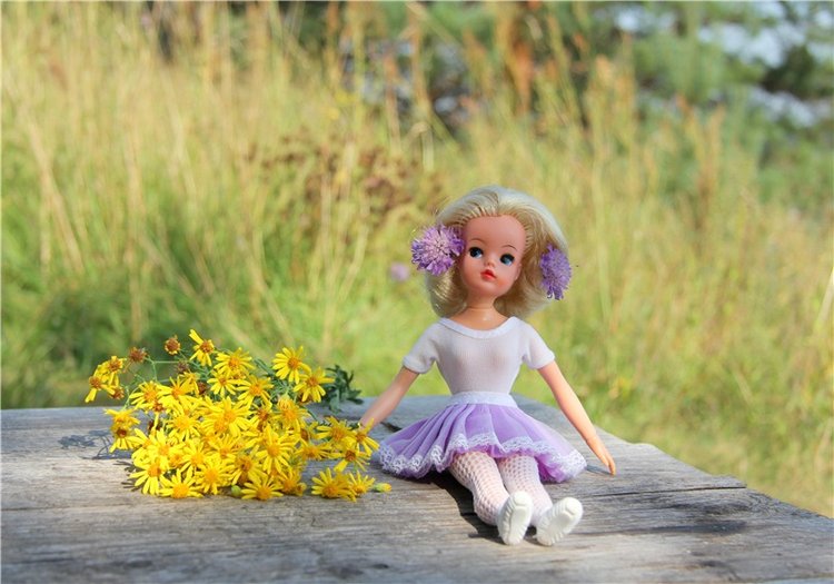 Синди на природе. Sindy dolls