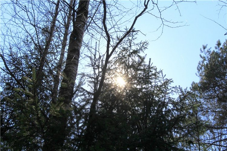 Савватьева Пустынь, Тверская область