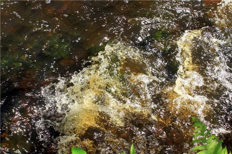 Затерянный Мир — Красивая природа и цветы: фото пейзажей