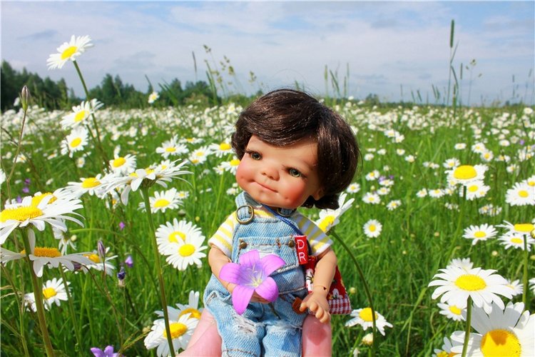 Ромашковый Июнь — Куклы Meadow dolls (Медовушки): BJD (БЖД)