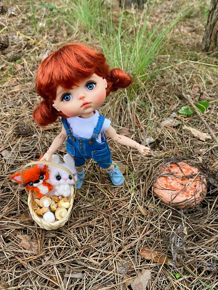 Как Варя ходила за грибами. Fabbi Chibbi Meadow dolls | Бэйбики Как Варя ходила за грибами. Fabbi Chibbi Meadow dolls (фото 10)