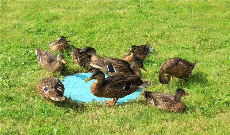 Сентябрьское путешествие в Старицу. Старицкий Свято-Успенский Монастырь