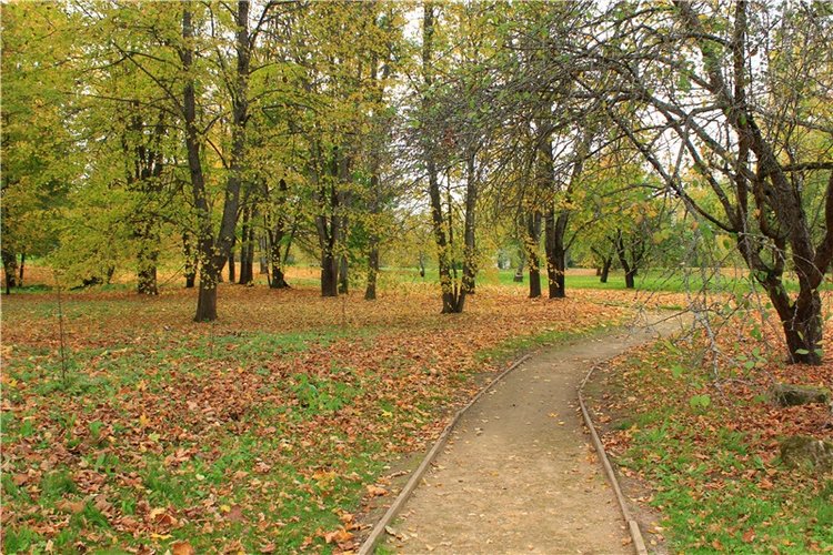 Золотая Осень в Берново с Имани. Mini Imani от Kaye Wiggs