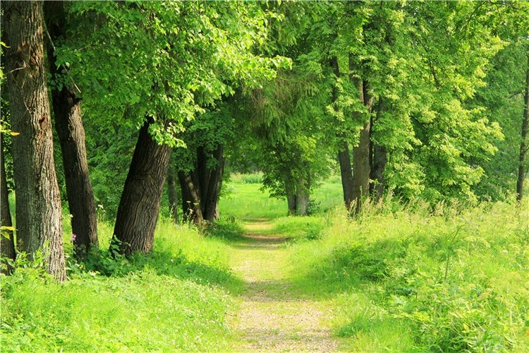 Путешествие Виолы в Усадьбу Знаменское-Раёк