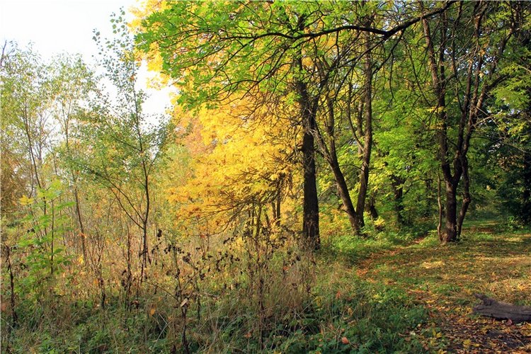 Путешествие Dal Hangry в Грузины